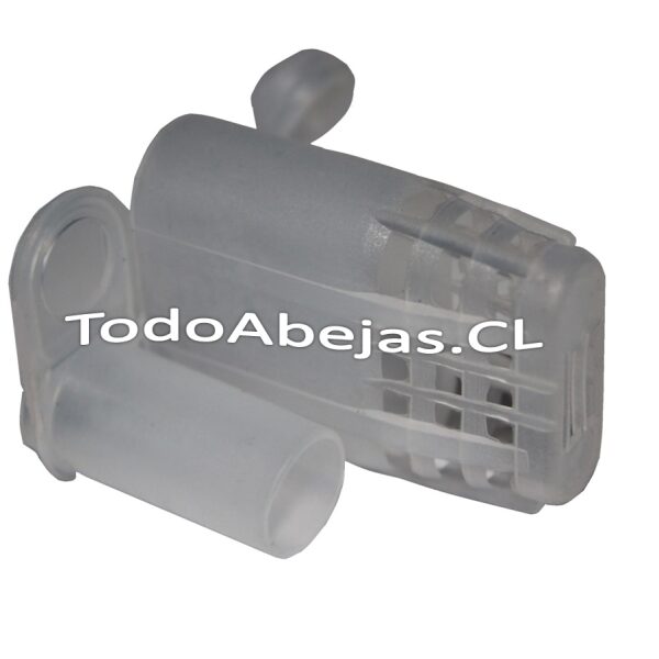 Jaula para Reina - Imagen 2