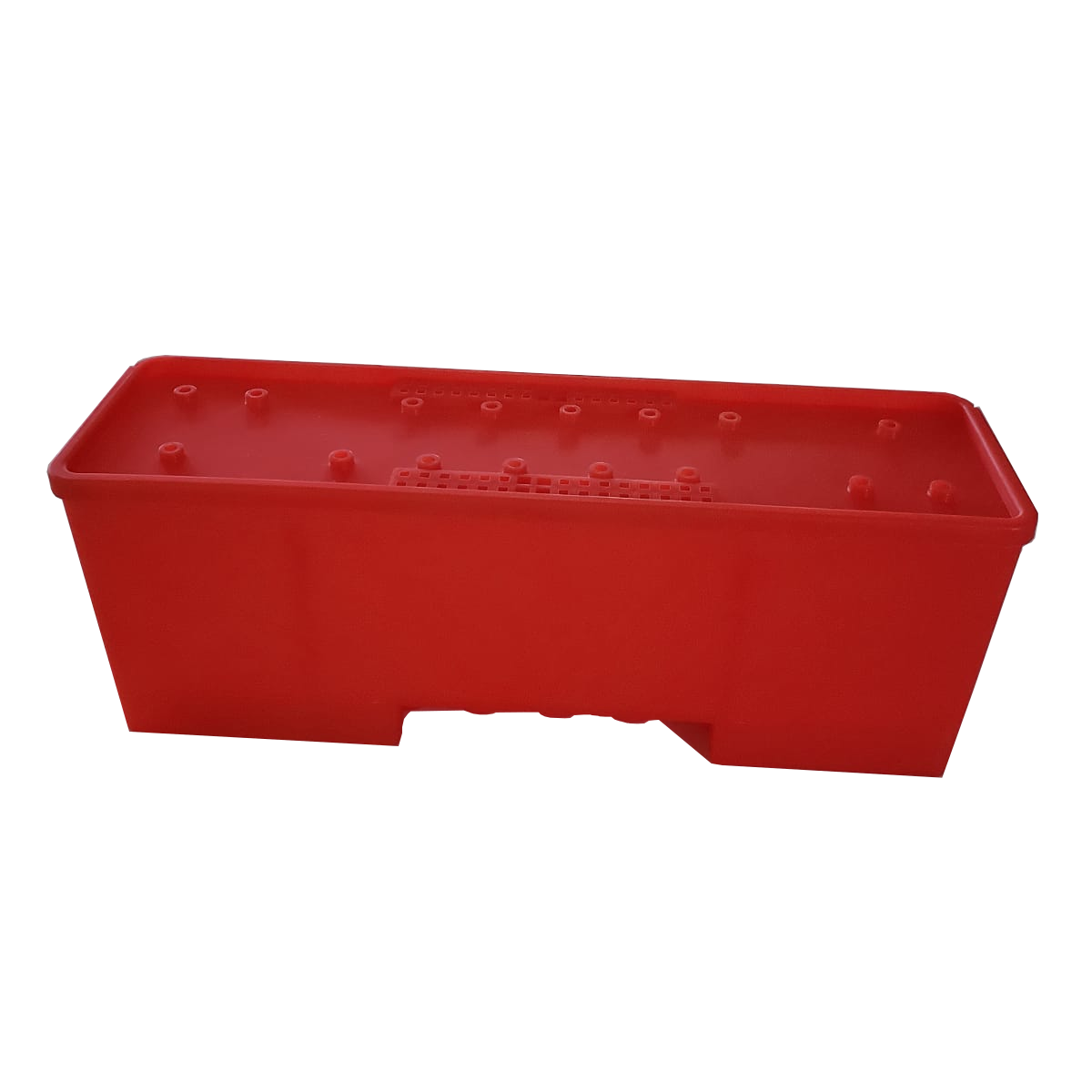 Caja Transporte Reinas