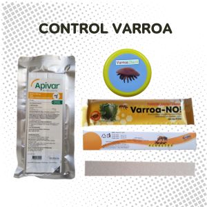 Varroa