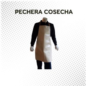 Pechera Cosecha